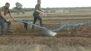 Suffolk heavy horse society ploughing match and tractor plough day  at bucklesham 2025