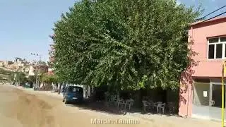 Mardin/Savur Sürgücü (Ewîna)