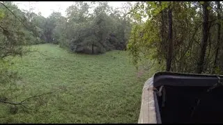 View from the stand in the North Florida deer woods
