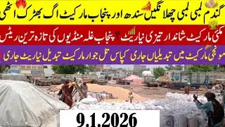 Today Wheat price in punjab//گندم کا ریٹ 2025/munji makki till sarso/Galla mandi rate today