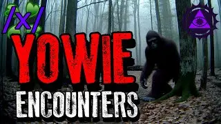 Yowie Encounters | 4chan /x/ Australian Paranormal Greentext Stories Thread