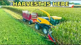 CHOPPING SILAGE IN EASTERN IOWA