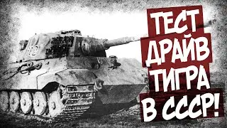 Что Показали Испытания Тигров В СССР?