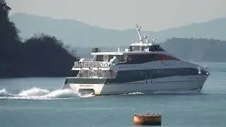 Catamaran PITCL Ferry《Park Ialand 8》Crossing the Ting Kau Bridge in HK 20260109_C0003