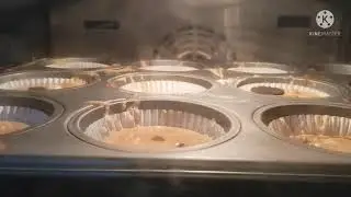 rising cupcakes in oven