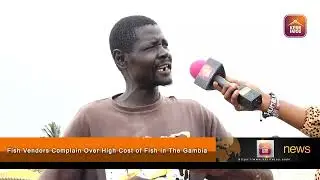 Fish Vendors Complain Over High Cost of Fish In The Gambia
