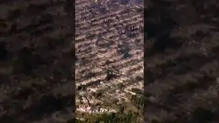 60 Minutes surveys L.A. fire damage from the air #shorts