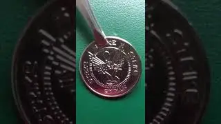 Strike Bowling Bar Game Token and Its Features - Australia #shorts #gametoken