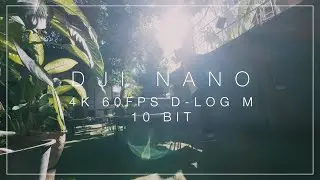DJI Osmo Nano Footage 4K 60fps D-Log M 10Bit
