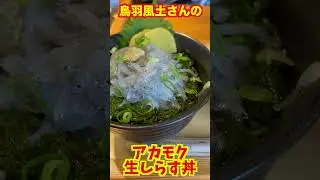 鳥羽風土さんのアカモク生しらす丼　#shorts #shortvideo #short #いせきちの雄叫び