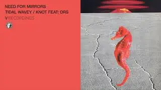 Need For Mirrors - Tidal Wavey