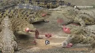 Crocodile – (यदि यह “जानवर” विषय हो)