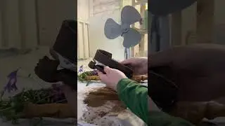 Создание ботанического барельефа #music #witch #барельеф #ботаника #garden #plants #топ #diy #nature