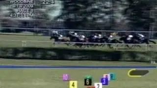 2009 Summer Stakes