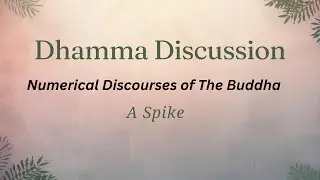 2026-01-25 - Numerical Discourses | 1.48 | A Spike