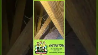 Boost Your Home's Efficiency: Insulation Tips for a Cooler, Cheaper Energy Bill!