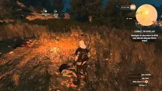 The Witcher 3 - Witcher Contract - The White Lady (Side Quest)