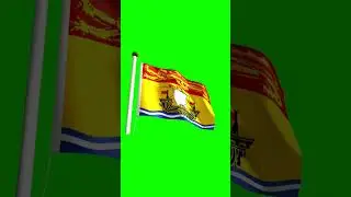 #Flag of New Brunswick - green screen chroma key |न्यू ब्रंसविक का ध्वज - ग्रीन स्क्रीन क्रोमा की