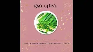 RMY Chives Powder _Dried Chopped Green Onions , All Natural Non GMO Gluten Free Dry Green Onions