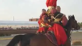 White Stable -Ukrainian Cossacks