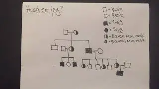 Hvad er jeg (pt 1)?
