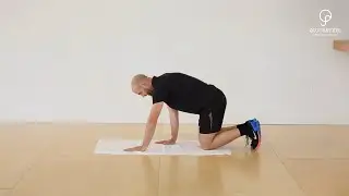 Cat Cow Stretch