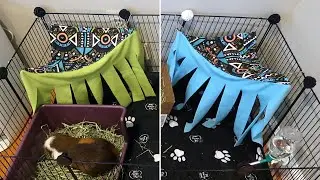 Hanging corner hides for guinea pigs