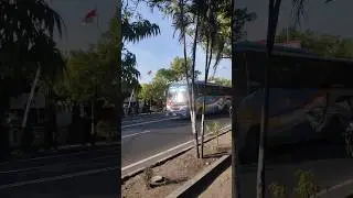 Sugeng Rahayu W7129UP#sumberselamat#sumbergroup#sugengrahayu#busjawatimuran#w7129up