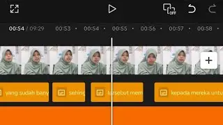Critical Journal Review ( Profesi Keguruan) 