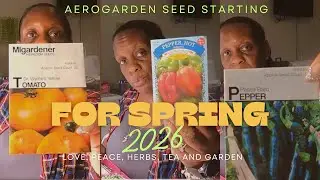 LET'S START SOME SEEDS IN THE AEROGARDEN FOR SPRING 2026!!!