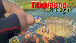 pesca de Tilápias selvagens no ultralight e isca artificial