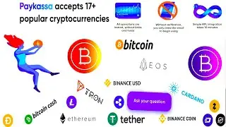 Paykassa accepts 17  popular cryptocurrencies