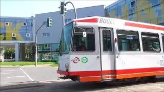 #47 Straßenbahn und Busse in Bochum - 22.08.2017