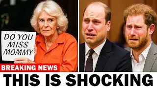 Queen Camilla Shows No Remorse To Diana's Sons In Court