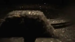Forgemaster B Roll Teaser