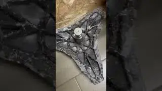 Почему не стоит покупать дешевые стиральные машины  Miele
