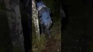 Свернули на эко тропу #ershov_super