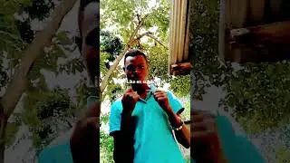 rap