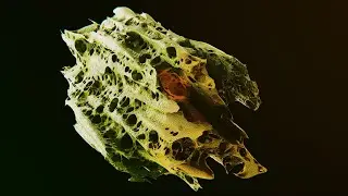 Organic object made in Blender - 4K HDR