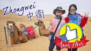 Amos Likes - Easter holiday. Day 2 and 3 in Zhongwei and the Desert Star Hotel (中衛, 星星酒店)