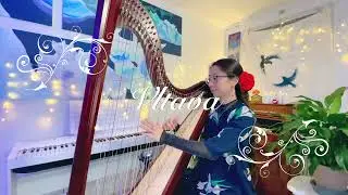 Vltava (The Moldau), B. Smetana, Arr. Saori Mouri - Lever Harp - Season 5: 123 / Salvi Hermes