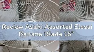 Review Asahi Assorted Elessi Banana Blade 16