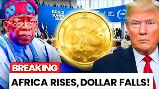 No More Dollar! BRICS Finally Takes Over In Africa