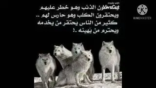 حدي بحق فرحان السلامي الذي لهو الكثير من المواقف التي يعجز عنها الكلام ومحارب من اقرب الاشخاص له