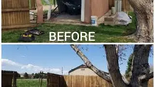Efficient Trash & Junk Removal in Denver, Thornton, Aurora | Blessed Are We LLC