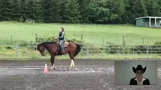 show your HART out-intermediate WT Horsemanship