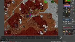 Taleon Online Rookgard - MELHOR CAVE PARA UPAR FAST ATE LVL 70/80