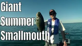 Giant Summer Smallmouth On Lake Simcoe  | Fish'n Canada