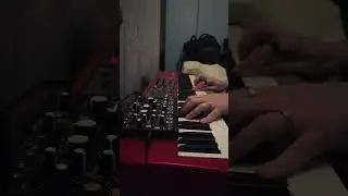 Piano Theme with NordElectro 3 through Make Noise Strega effect section 🖤🔊✨