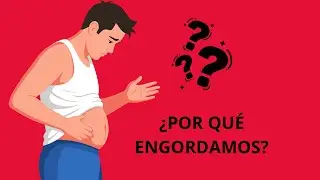 &iquest;Por qu&eacute; subimos de peso? La biolog&iacute;a del sobrepeso explicada f&aacute;cil